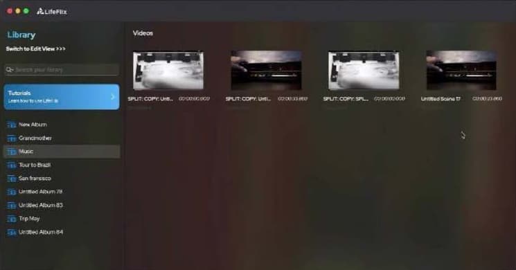 Araliya_ LF Blog Articles (3).jpg